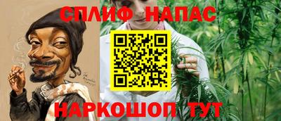 СК Будённовск