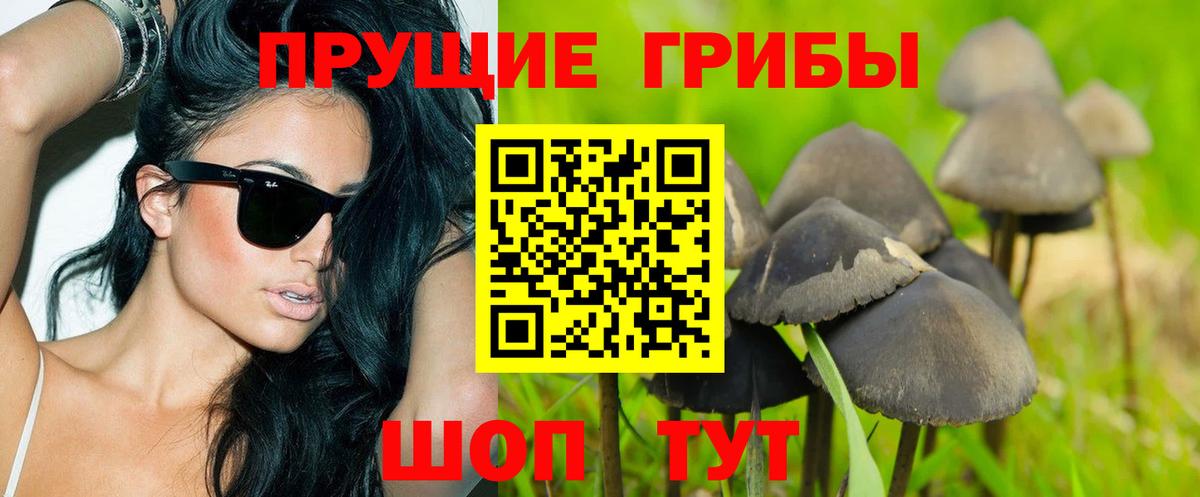 Менделеевск  Галлюциногенные грибы GOLDEN TEACHER  Псилоцибиновые грибы Magic Shrooms  Вход с VPN 